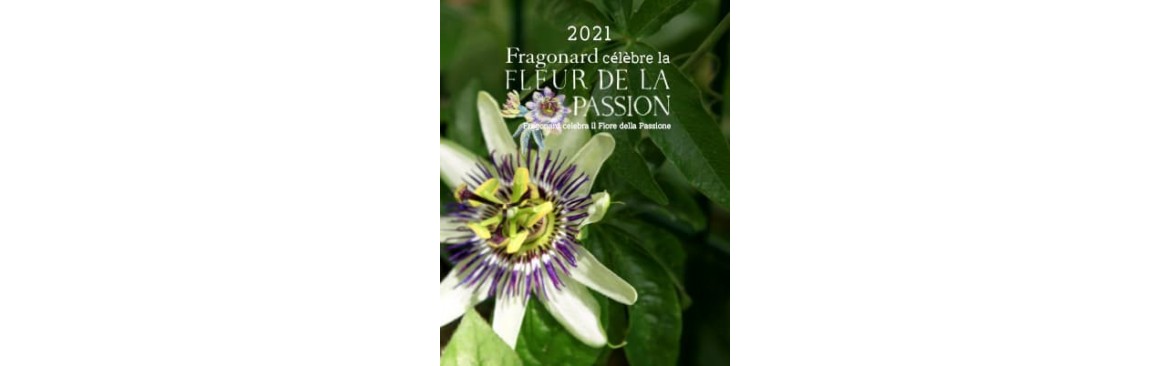 Fiore dell'anno 2021- FLEUR DE LA PASSION